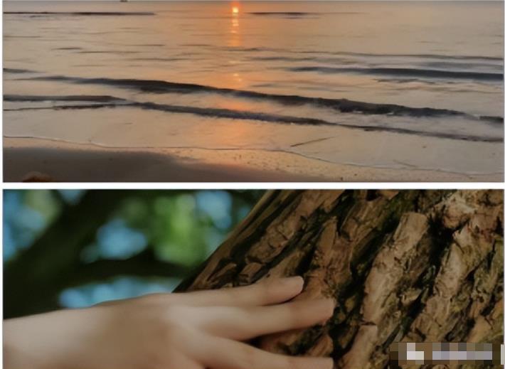 1684331405-d5ac5a27c34ebfd 1684331405-d5ac5a27c34ebfd