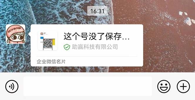 1685541910-7025567c9319bbb 1685541910-7025567c9319bbb