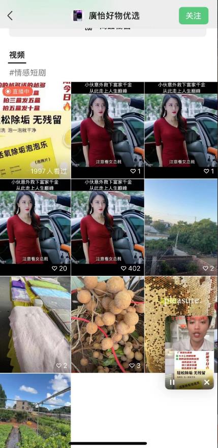 1691768853-7d609d3b614be41 1691768853-7d609d3b614be41