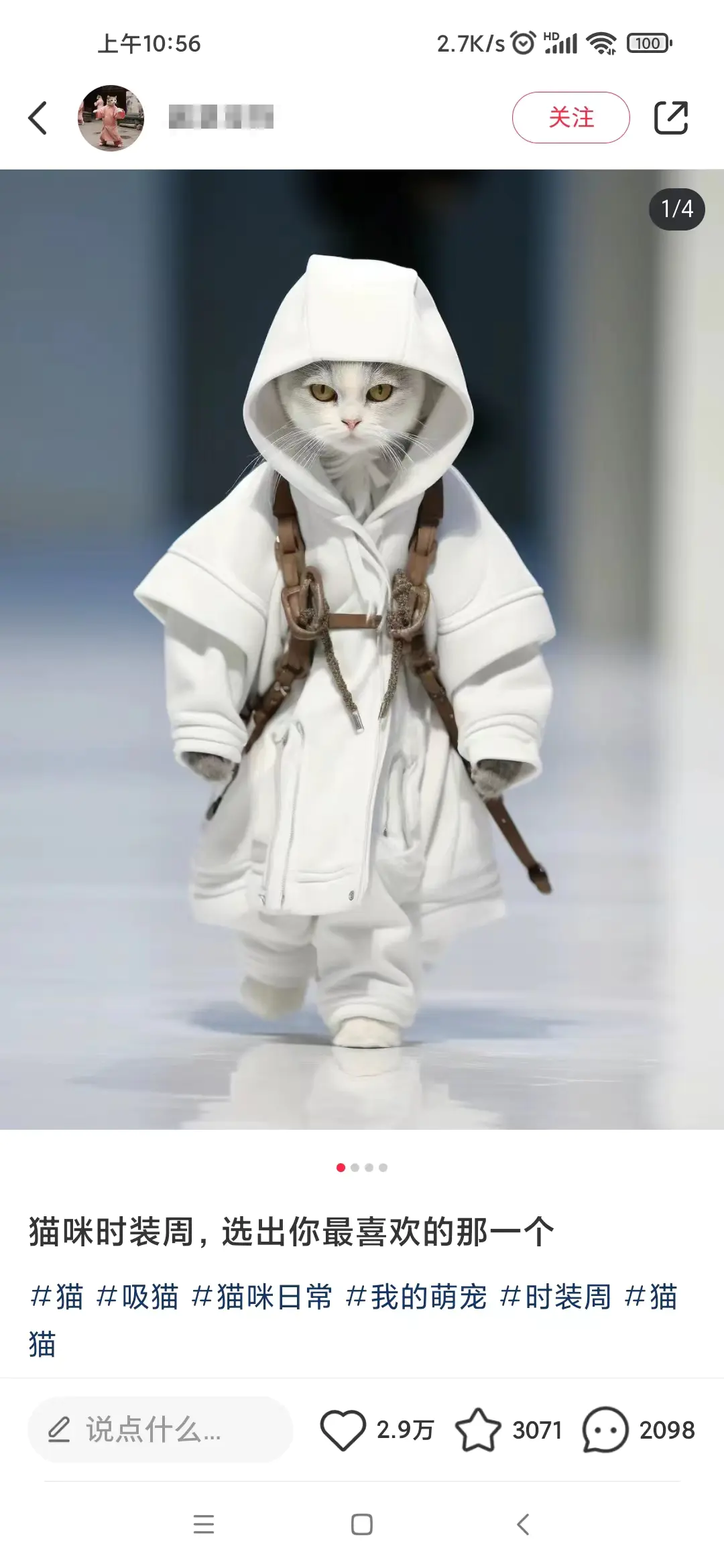 1704209942-e3d3ad00d95d80e 1704209942-e3d3ad00d95d80e