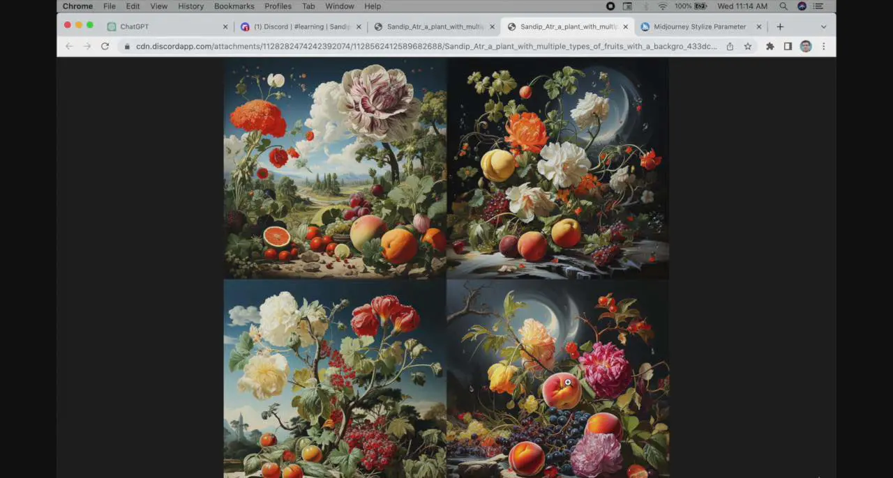 1706454093-b946ef4bba3a597 1706454093-b946ef4bba3a597