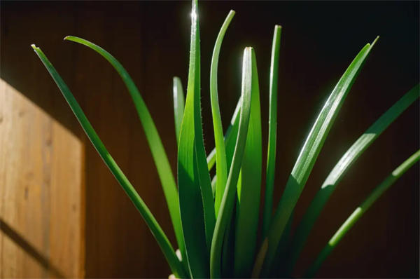 67ba8003da721cc 67ba8003da721cc