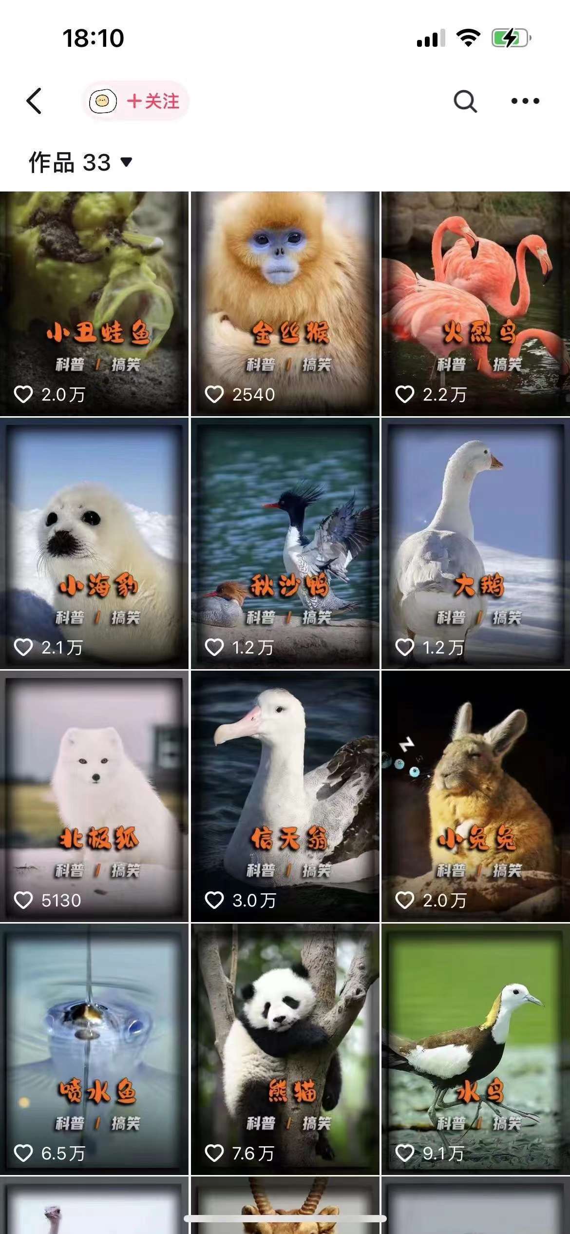 c7b0e582a133c31 c7b0e582a133c31