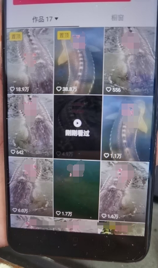 620726cce3cbc8c 620726cce3cbc8c