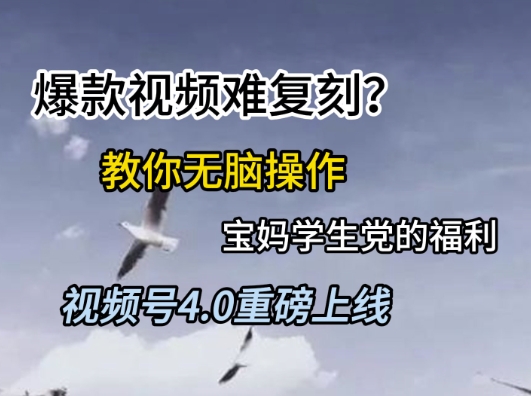 dd6318d3bf2c339 dd6318d3bf2c339